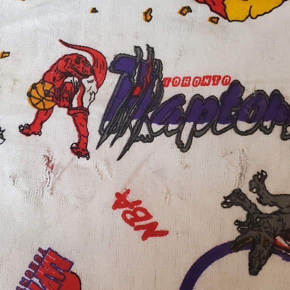 RARE Vintage 90s NBA Toronto Raptors Soft Huge Fabric 5x12 Feet - Picture 9 of 9